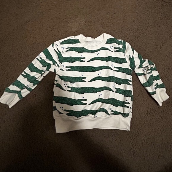 Pink Chicken Other - Pink Chicken Kids Alligator Star Print Pullover Sweatshirt Cream Green Size 5Y